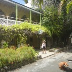 DSC02250